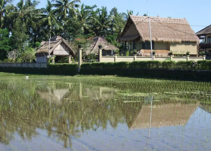 Puri Darma Agung 4* ウブド